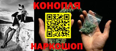 шишки Камень-на-Оби