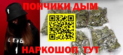 шишки Камень-на-Оби