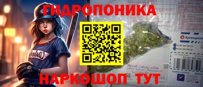 гидра Каменск-Шахтинский