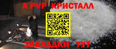 шишки Камень-на-Оби