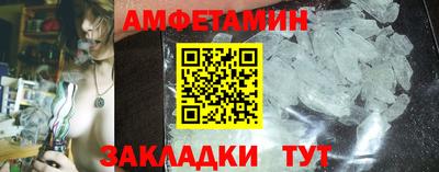 шишки Камень-на-Оби