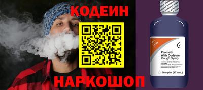 шишки Камень-на-Оби