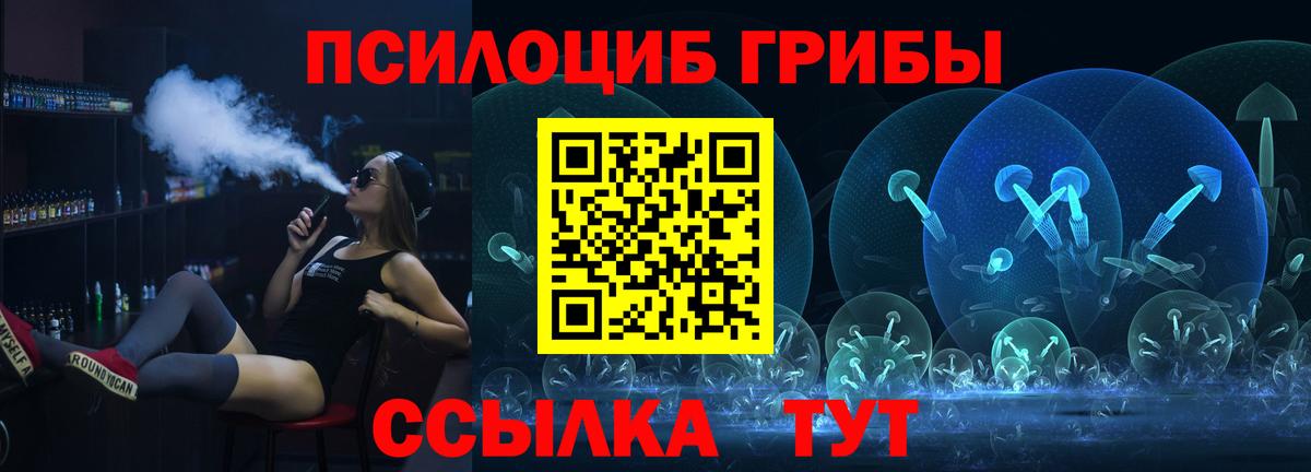 Псилоцибиновые грибы Cubensis Бийск