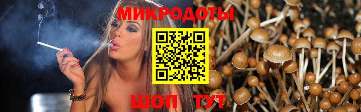 Бийск  Псилоцибиновые грибы Psilocybine cubensis  продажа наркотиков  Вход с VPN 